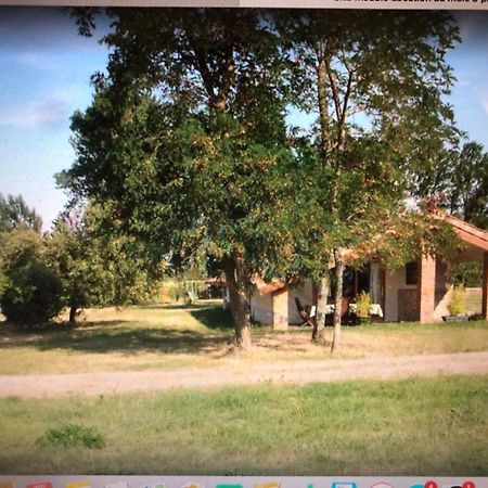 Location Gite 4 Personnes Mazeres - La Petite Maison Екстер'єр фото